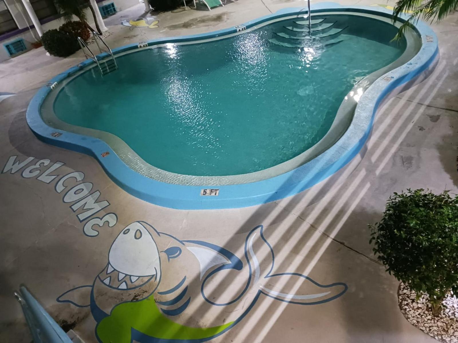 Royal North Beach شاطئ كليرووتر المظهر الخارجي الصورة